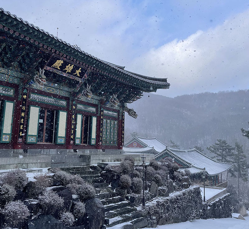 645期佛青園地｜本來面目──韓國無上寺冬安居禪修心得／陳虹宇 台大晨曦社社友(標題圖檔)