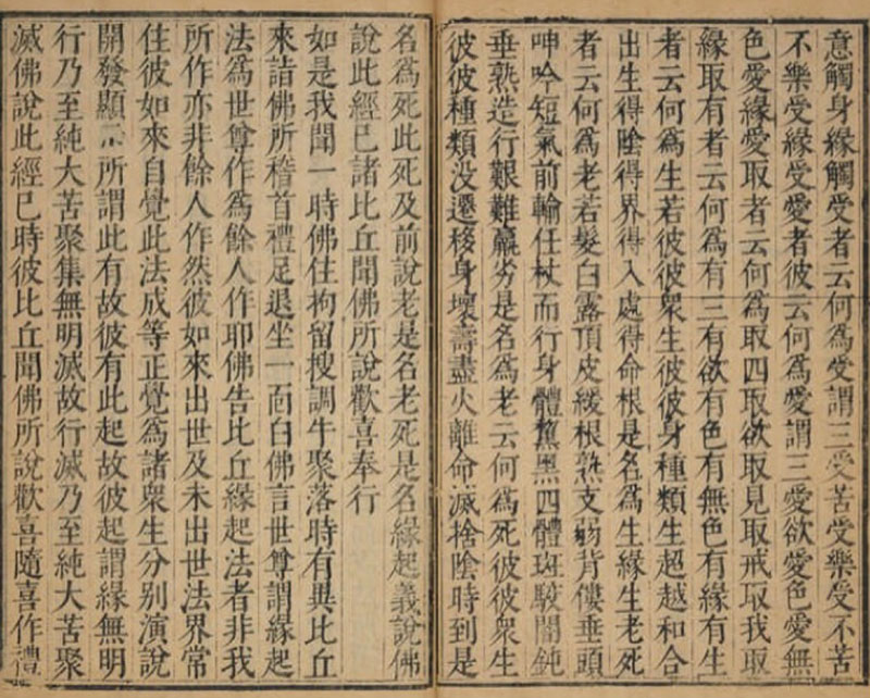 643期專題｜互為因緣的身心療育／法聿(標題圖檔)