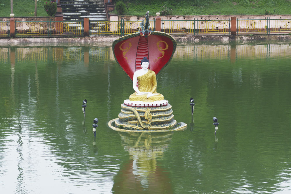 644期專題｜佛陀成道故事──大吉蛇的守護與歸依／本刊編輯室(標題圖檔)