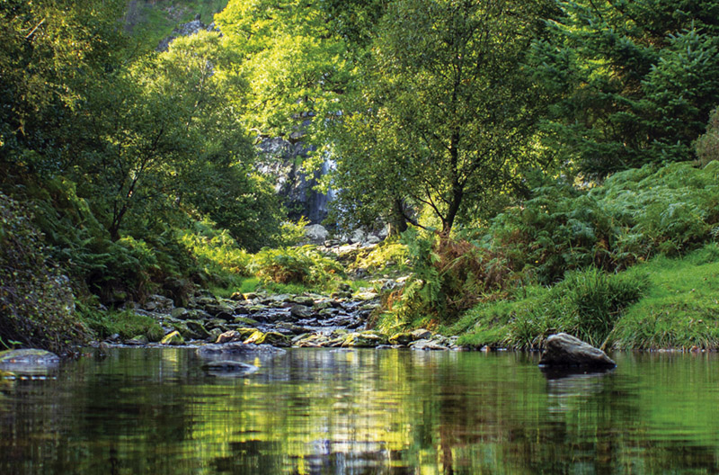 646期｜佛系超能曆（十八）／林彥宏(標題圖檔)