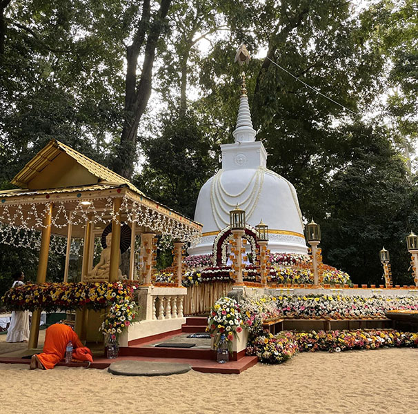 643期｜放下所求——斯里蘭卡龍樹林、埔里馬哈希禪修心得／陳虹宇(標題圖檔)