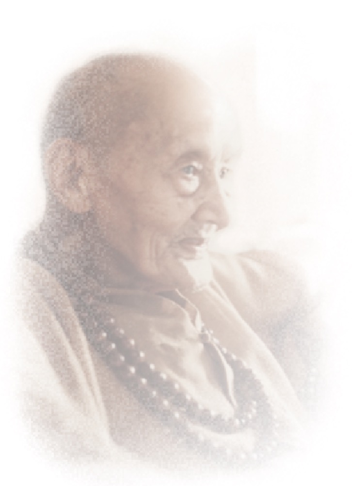 645期｜廣欽老和尚的法藥（六）——邊作事邊念佛，福慧雙修（多念佛第一重要）／廣欽老和尚(標題圖檔)